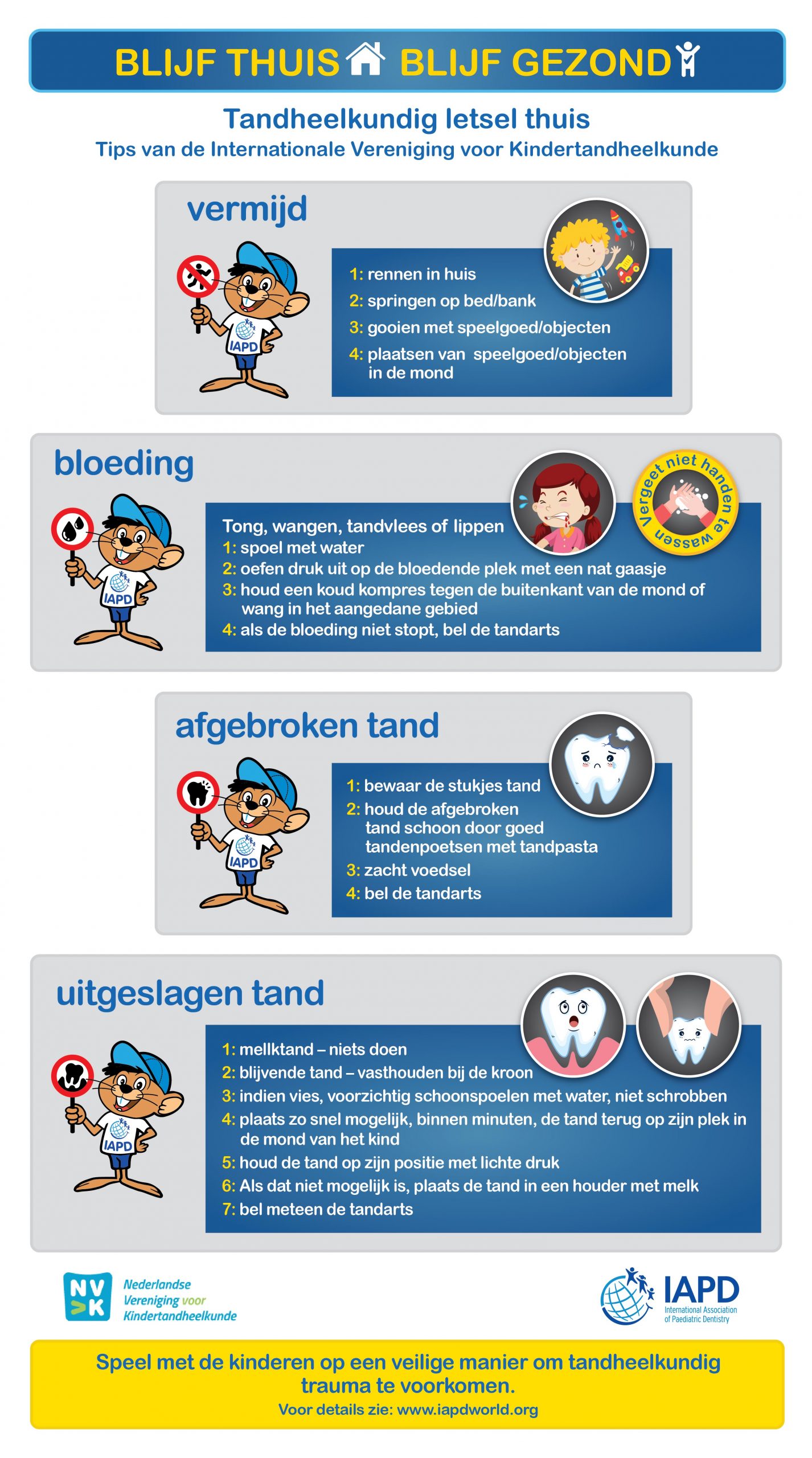 Dutch IAPD Infographics – IAPD